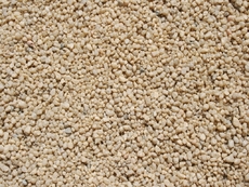 Sand-4.jpg
